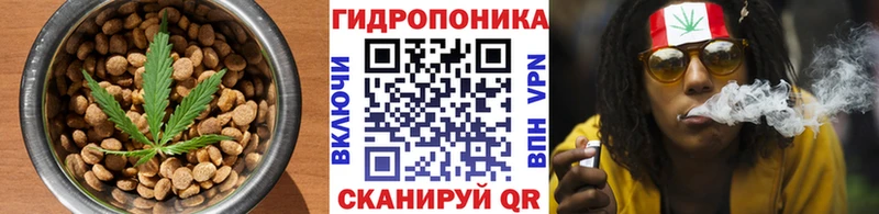 Cannafood конопля  купить  цена  Пушкино 