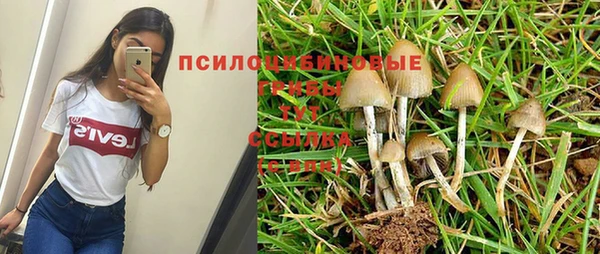 тгк Аркадак