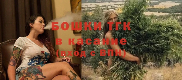 тгк Аркадак