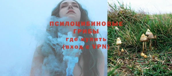 тгк Аркадак
